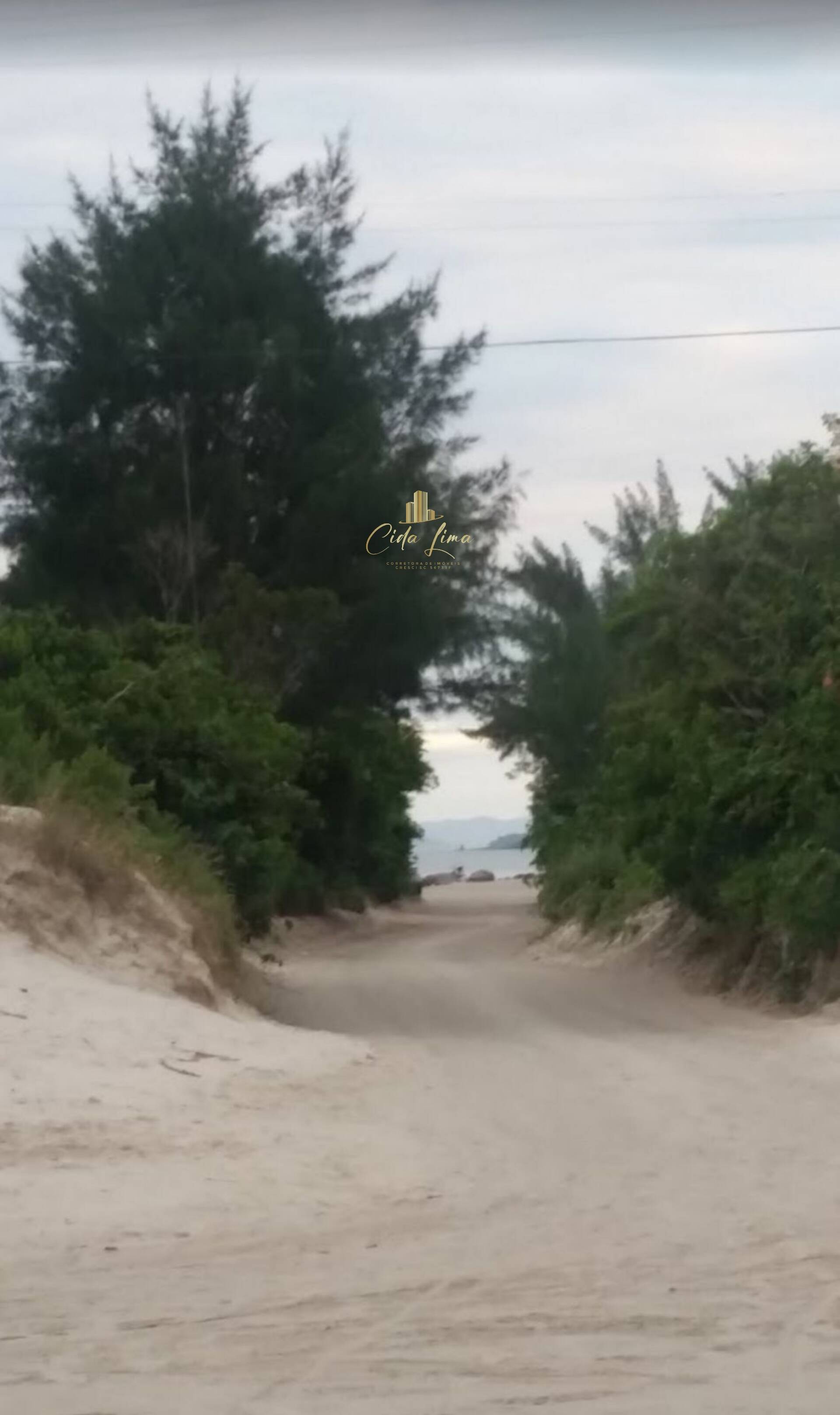 Sala-Conjunto, 315 m² - Foto 8