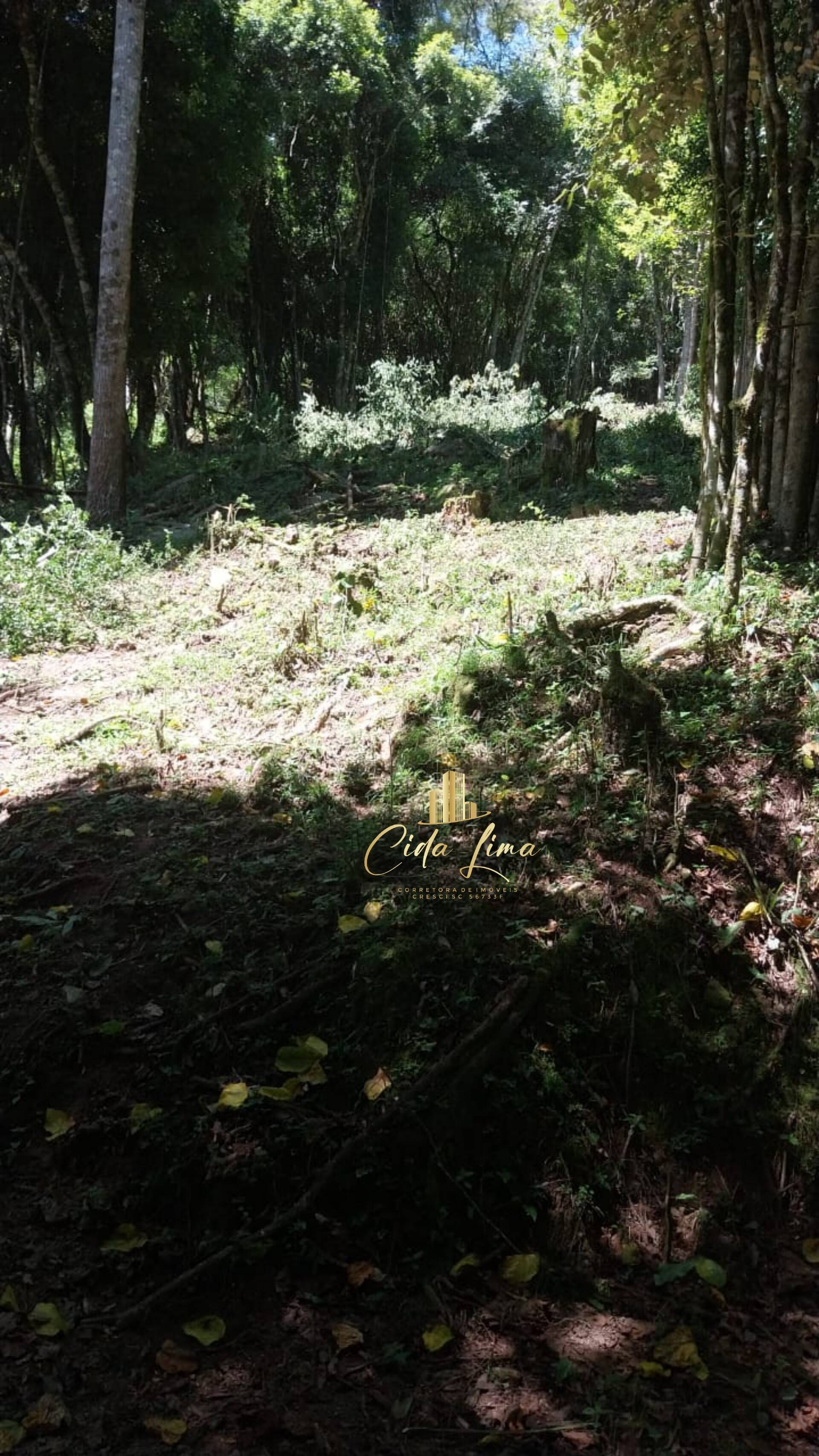 Sítio, 3 quartos, 12 hectares - Foto 9