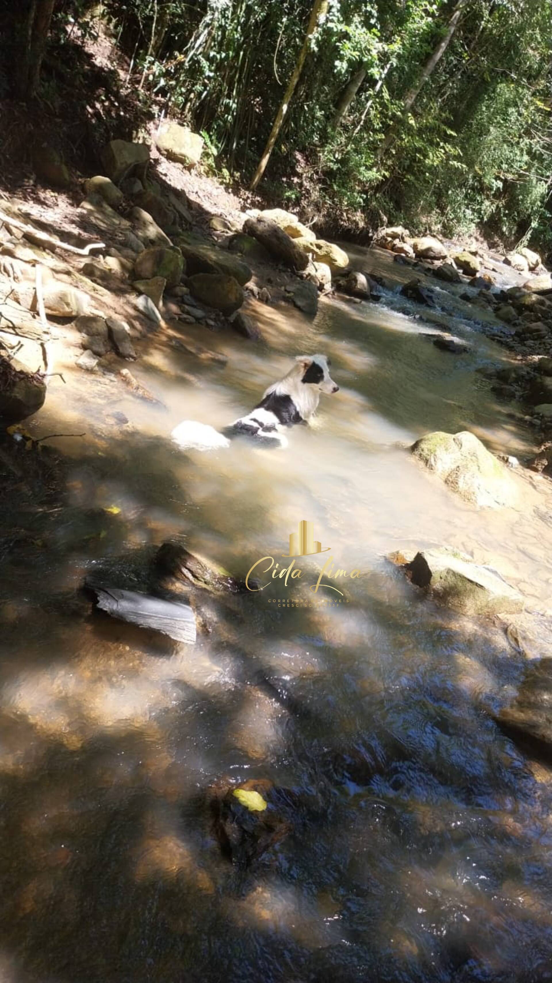 Sítio, 3 quartos, 12 hectares - Foto 13