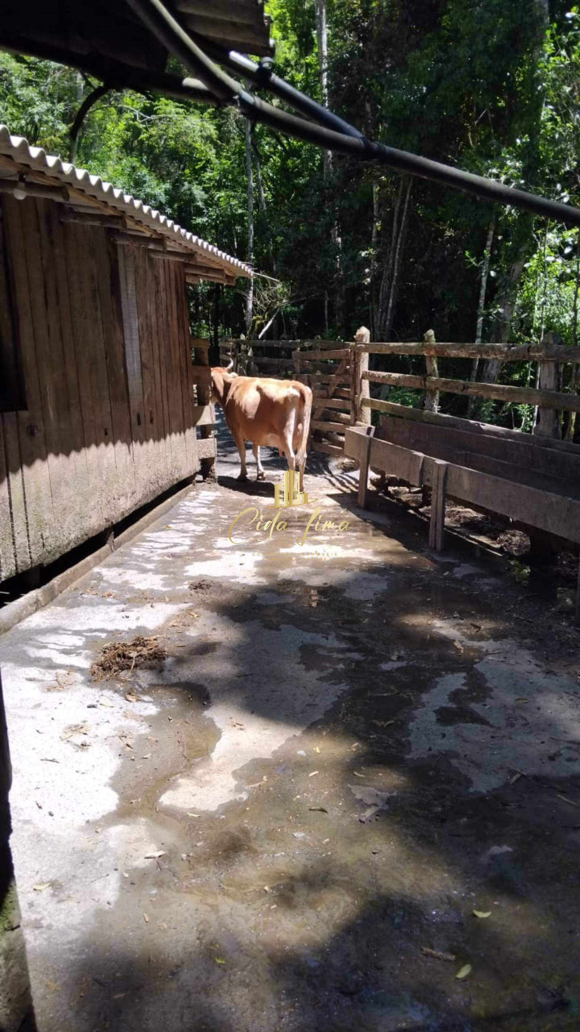 Sítio, 3 quartos, 12 hectares - Foto 18