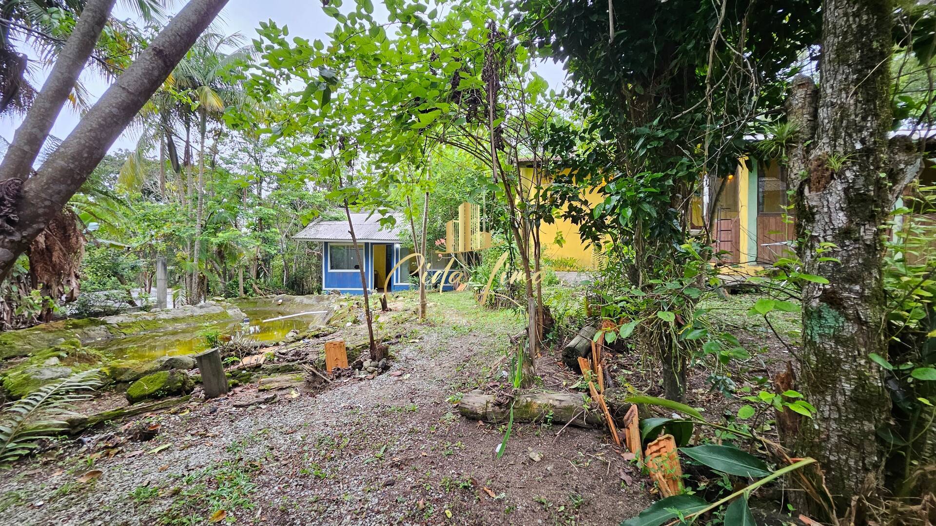 Terreno, 1900 m² - Foto 3