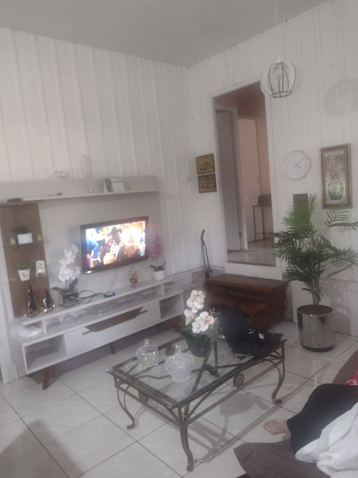 Sítio, 3 quartos, 800 m² - Foto 2