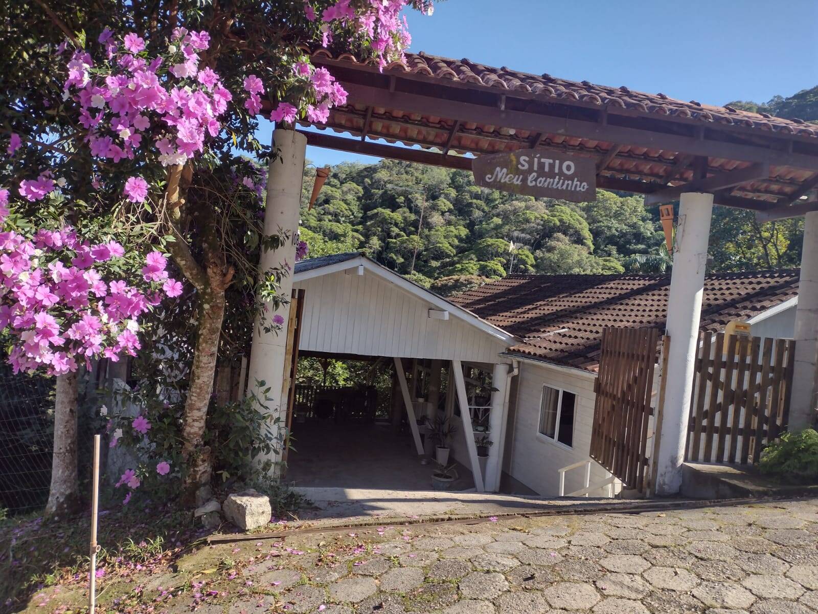 Sítio, 3 quartos, 800 m² - Foto 1