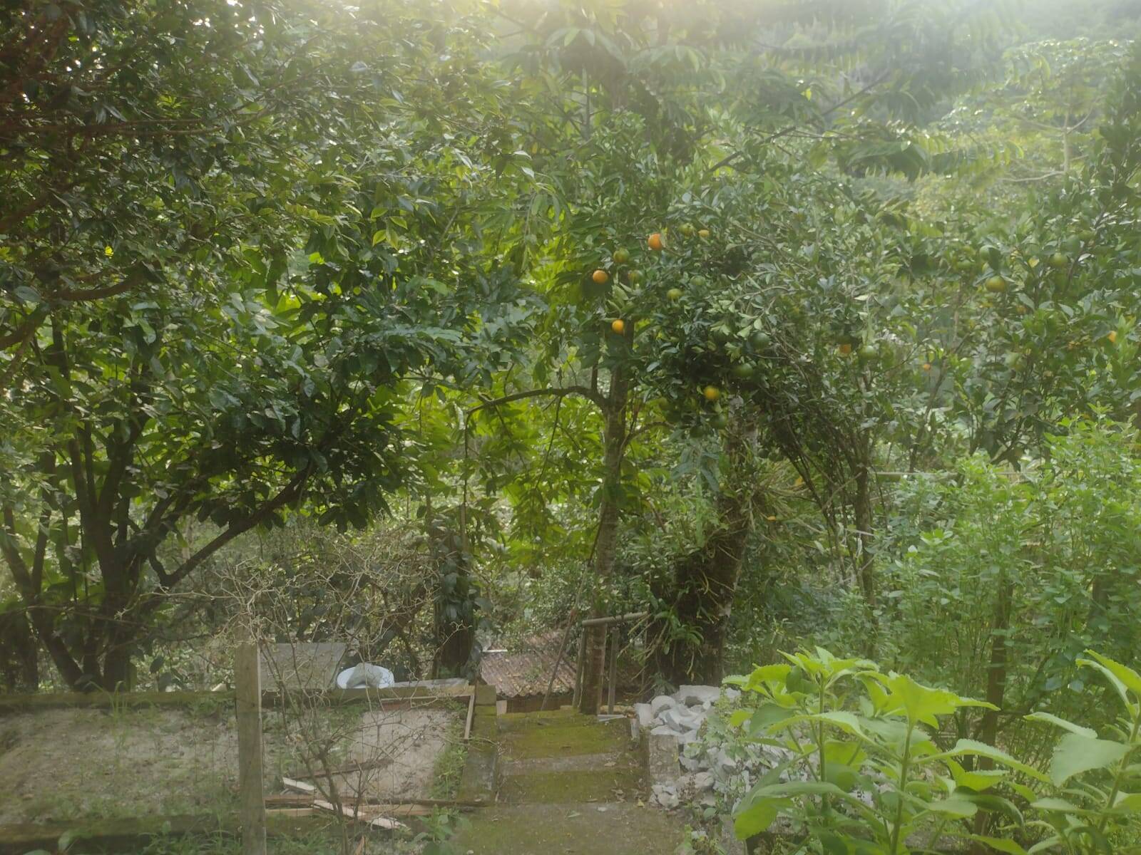 Sítio, 3 quartos, 800 m² - Foto 19