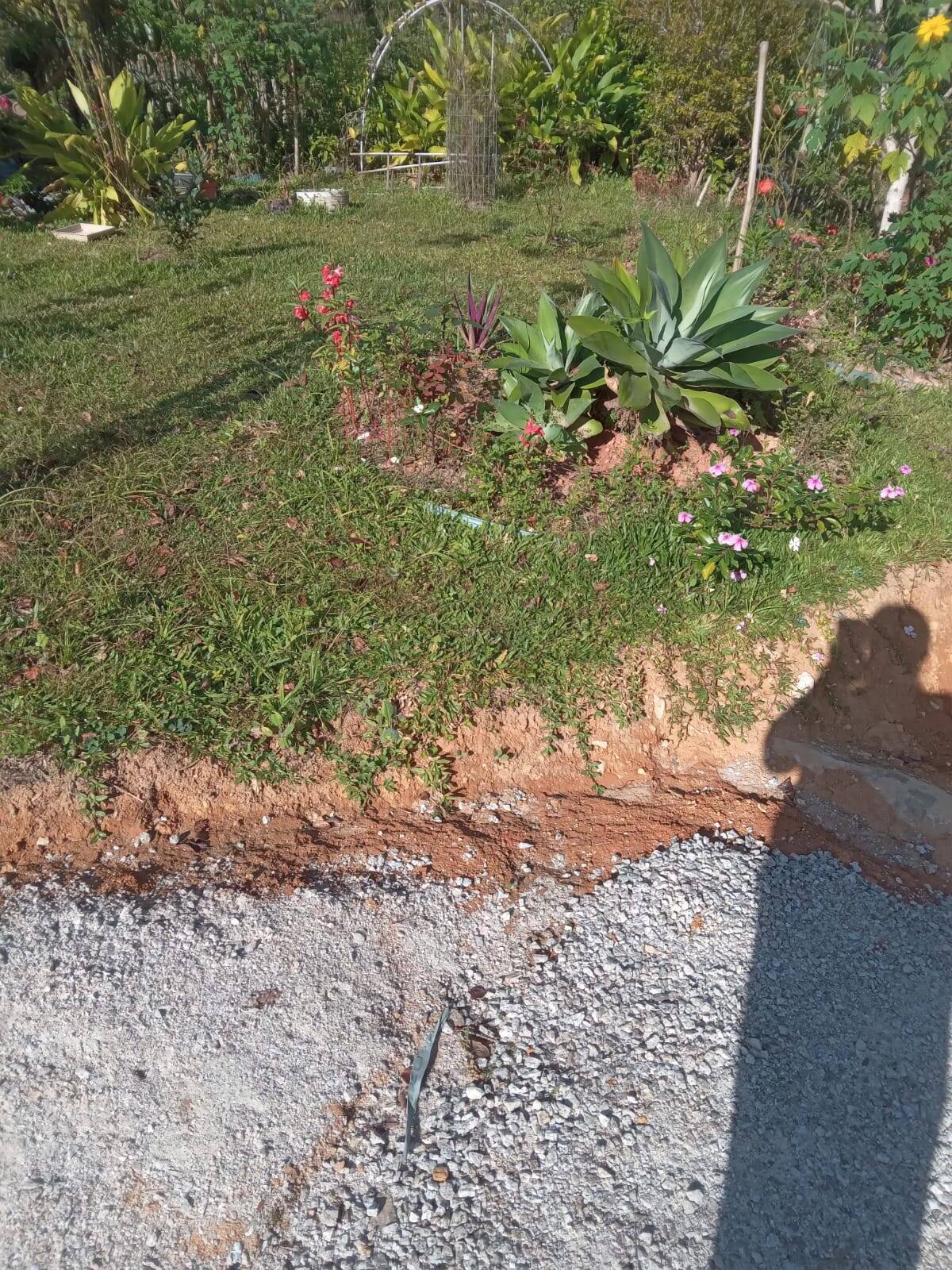 Sítio, 2 quartos, 2000 m² - Foto 5