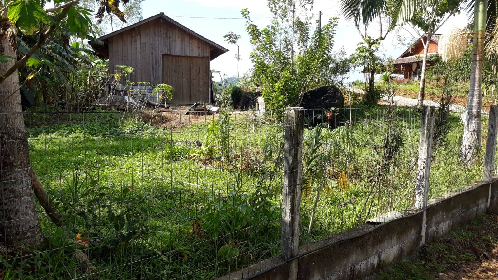 Sítio, 2 quartos, 2000 m² - Foto 4