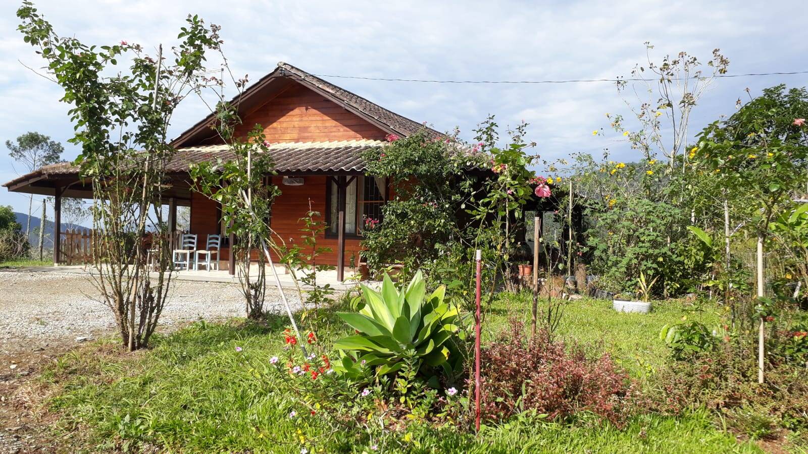 Sítio, 2 quartos, 2000 m² - Foto 2