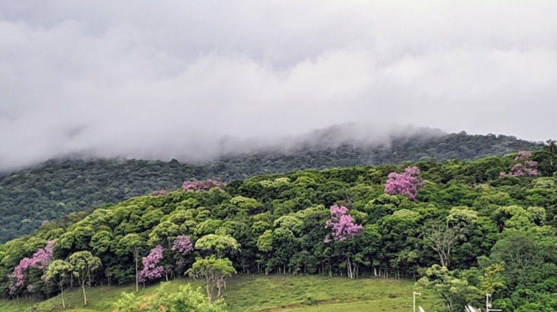 Apartamento, 2 quartos, 52 m² - Foto 28