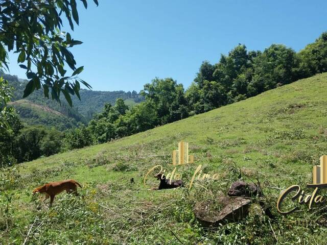 Chácara para Venda em Alfredo Wagner - 4