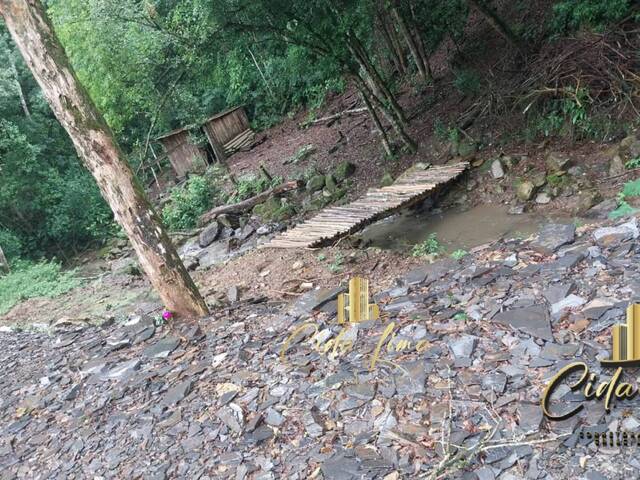 Chácara para Venda em Alfredo Wagner - 5