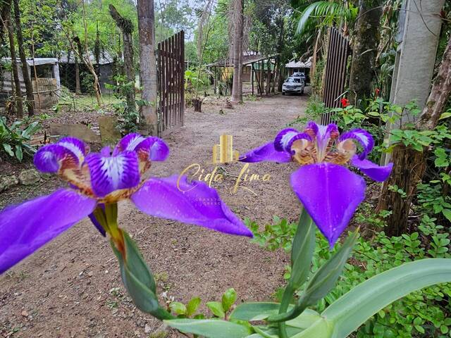 #162 - Área para Venda em Santo Amaro da Imperatriz - SC - 2