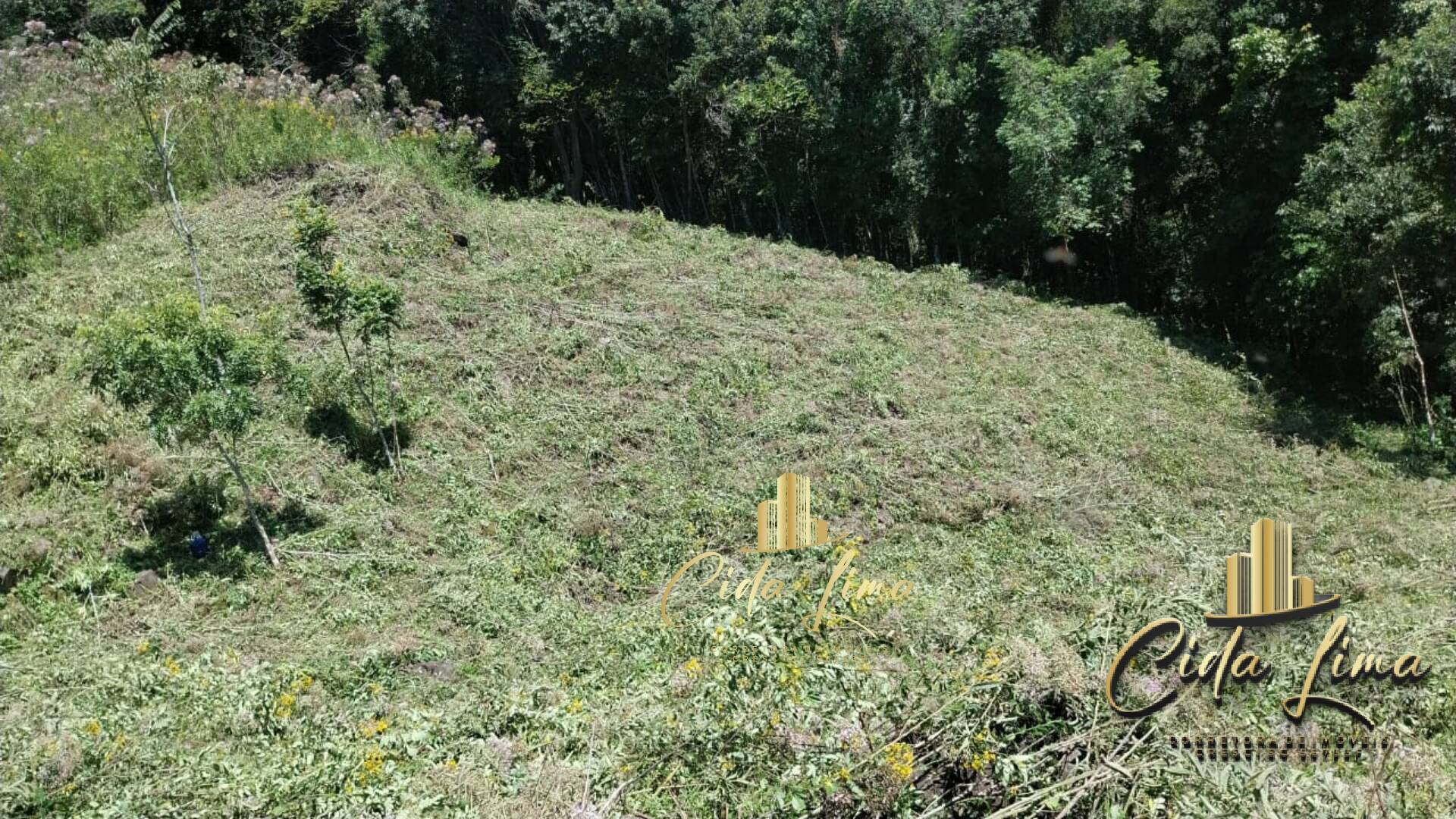 Sítio, 3 quartos, 12 hectares - Foto 8