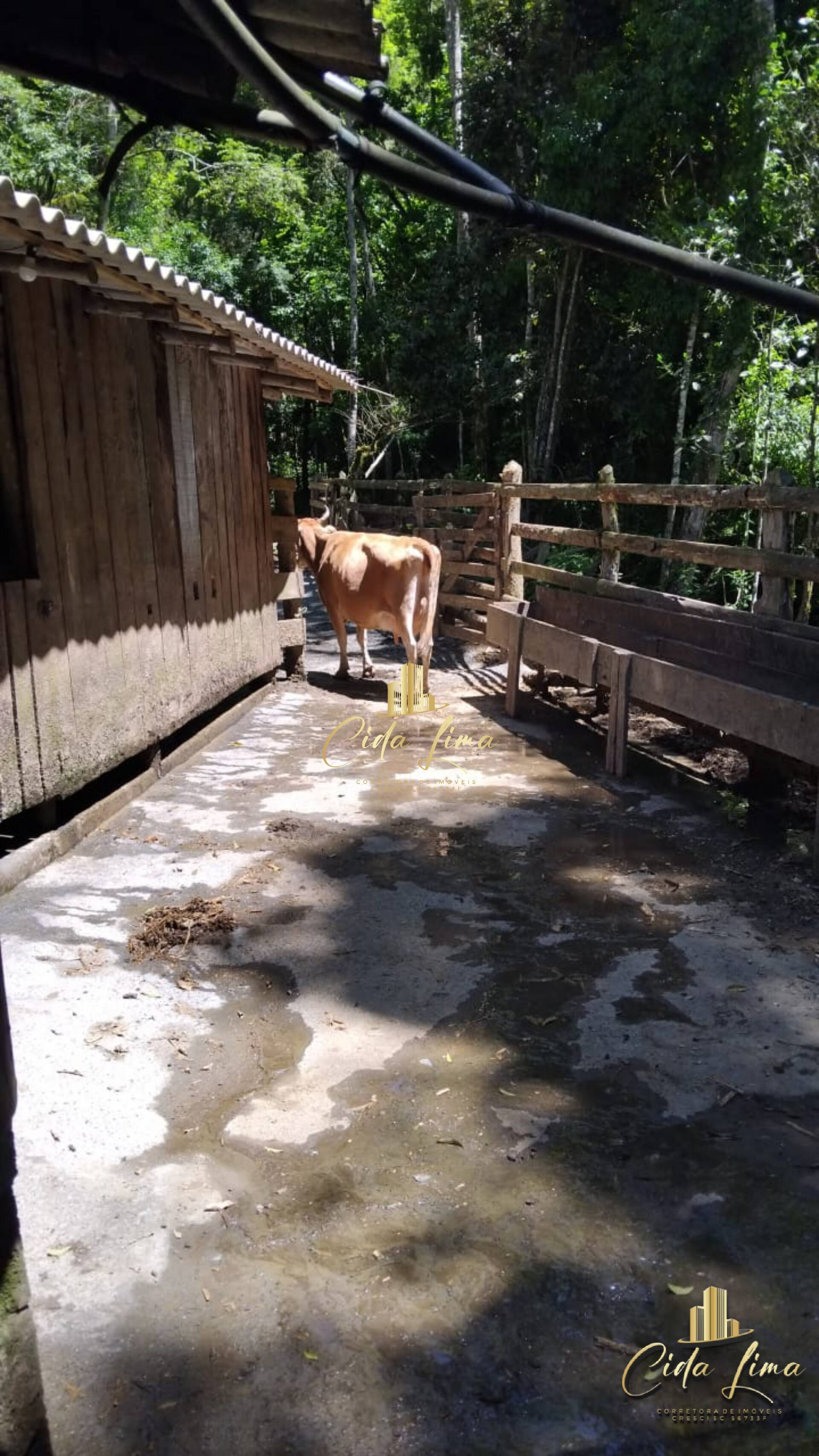 Sítio, 3 quartos, 12 hectares - Foto 18
