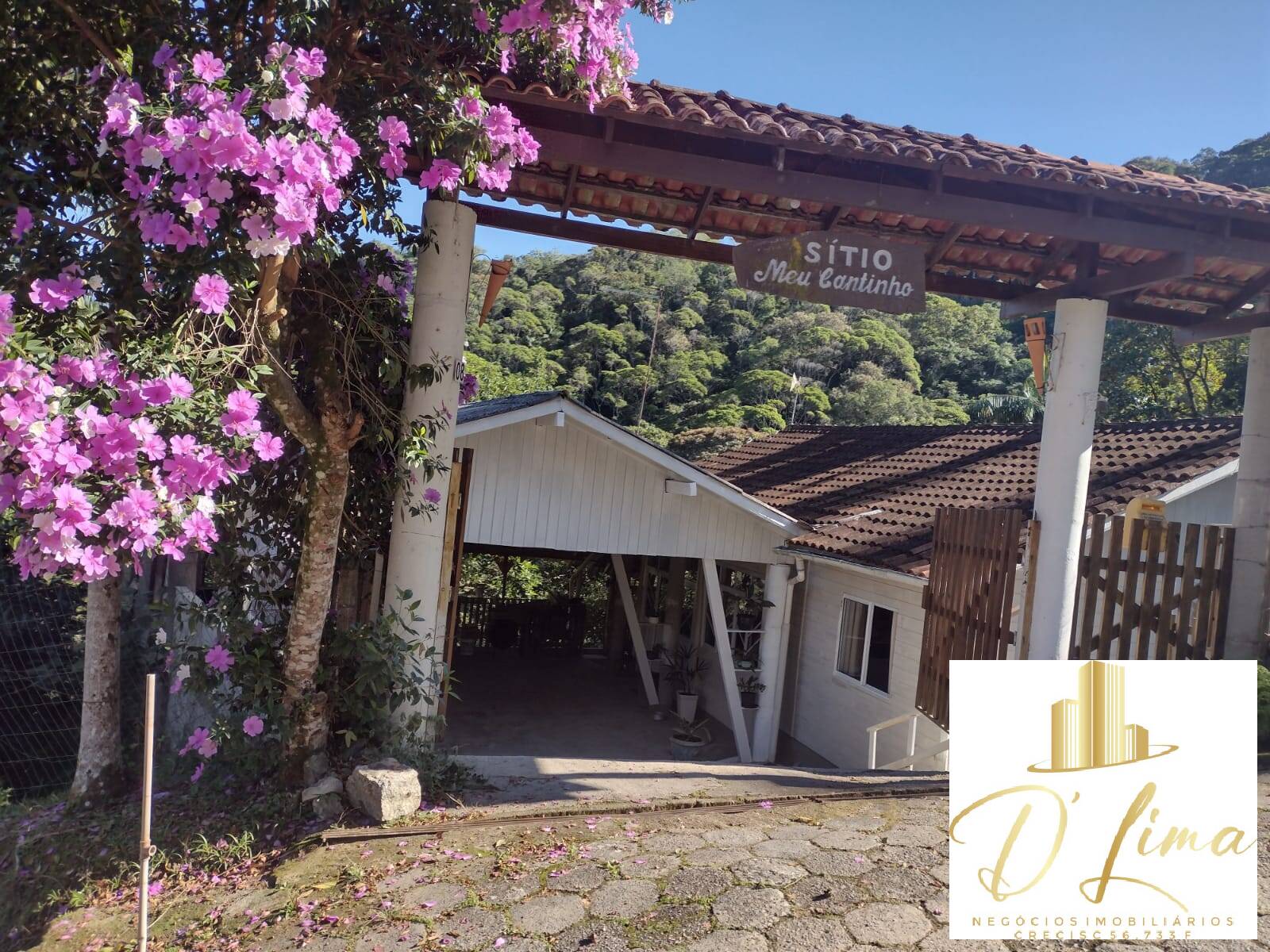 Sítio, 3 quartos, 800 m² - Foto 1