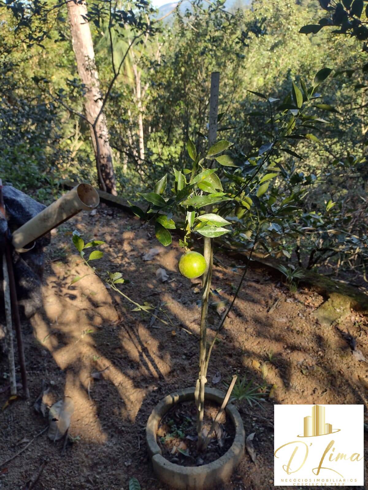 Sítio, 3 quartos, 800 m² - Foto 17